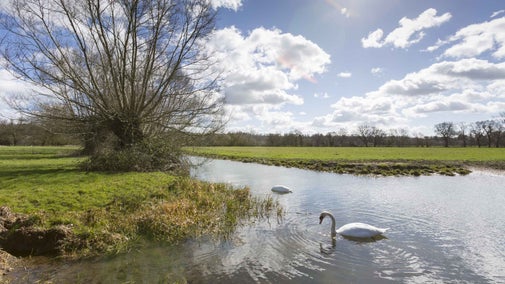 Dotted around Maidenhead and Cookham these attractive areas of common land are popular spots for walking and picnicking.